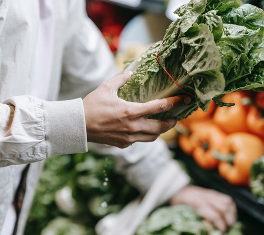 A person's hands holding a head of lettuce with water dripping from it.